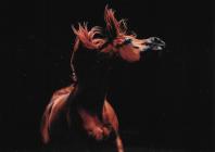 Náhledový obrázek