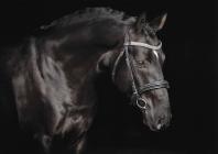 Náhledový obrázek