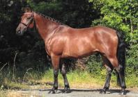 Náhledový obrázek