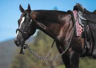 Náhledový obrázek