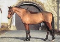 Náhledový obrázek